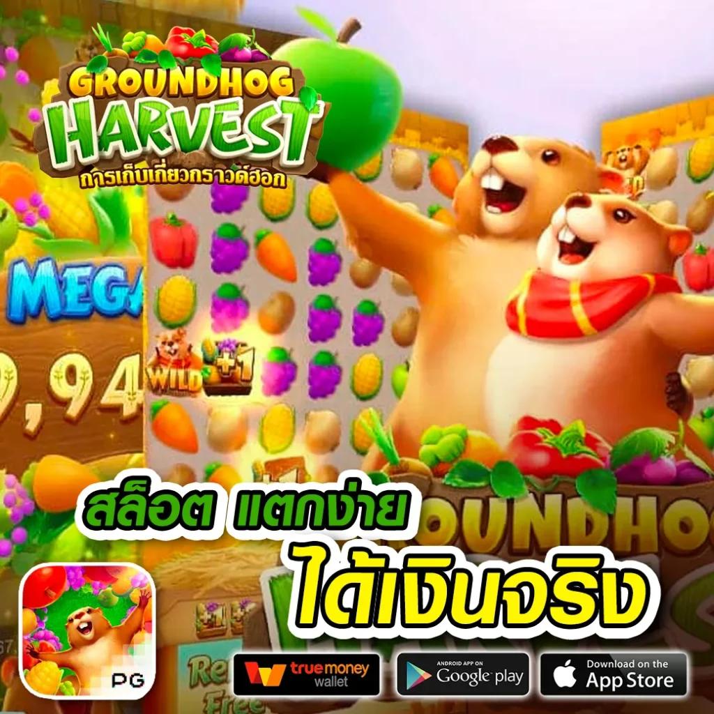 สล็อต สัตว์ คาสิโนออนไลน์ ระบบเดิมพันสุดล้ำ สมัครง่าย ได้เงินจริง ฟรีโบนัส